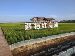 -红海滩国家风景廊道