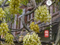 -中国科学院华南植物园