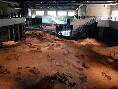 -自贡恐龙博物馆