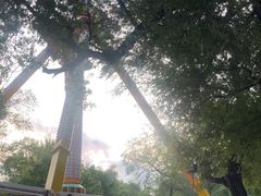 -哈尔滨文化公园