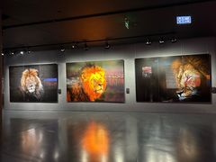 -罗红摄影艺术馆