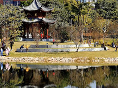 -四海公园(南山区)