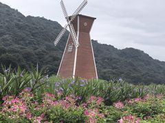 -广州市石门国家森林公园