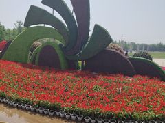 -石家庄市植物园