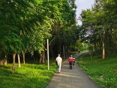 -白鹭湾湿地公园