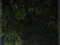 -潮香阁海鲜餐厅(较场尾店)
