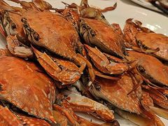 -锦粤宫·精致粤菜(阳西店)