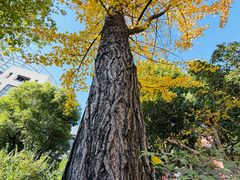 -沪东工人文化宫