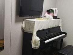 -大象音乐·吉他·架子鼓·声乐(双井店)