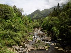 -龙苍沟森林公园