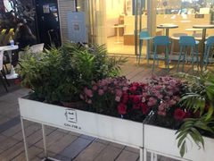 -CHAFORU星卡里(长江二路店)