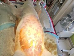 -康成宠物医院24H·CT·核磁共振