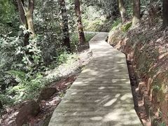 -天鹿湖森林公园