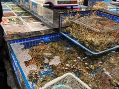 -东海怡品海鲜豆捞(星街坊店)