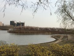 -丁香湖公园