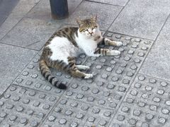 -木渎古镇