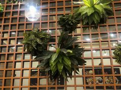 -佰搭果·广式茶餐厅(西华路店)