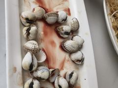 血蛤-华盛丰温州大排档(东三环南路店)