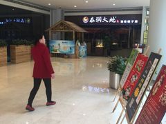 -春润大地海南椰子鸡(沙井京基百纳广场店)