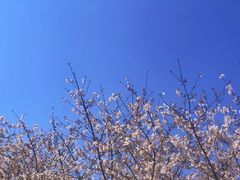 -苏州上方山国家森林公园