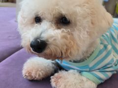 -怪兽屋·羊驼·猫咖·狗咖(俊华广场店)