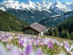 -新疆那拉提国家旅游度假区