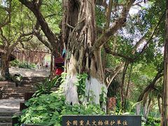 -胡里山炮台