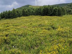 -塞罕坝国家级自然保护区