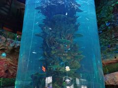 -青岛嘉年华主题乐园