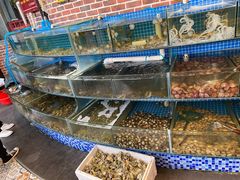 水产区-蟹谢蒸鲜自助餐厅