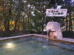 -通程温泉大酒店