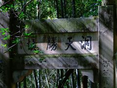 -四明山国家森林公园