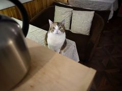 -隅cafe(傅厚岗店)
