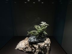 -大连自然博物馆