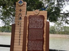 -大湾区中央湿地公园