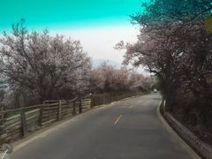 -雅鲁藏布江