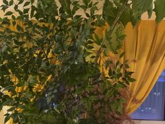 -桃花坞·私房菜餐厅(龙湖时代天街店)