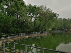 -莲湖公园