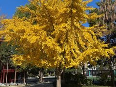 -周恩来同志少年读书旧址