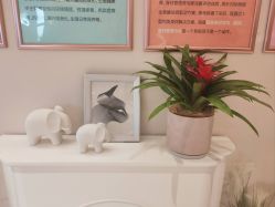 -Dr.林醫生产后修复·超级店(南京江宁同曦店)