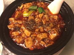 -陈麻婆豆腐总店