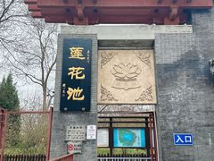 -莲花池公园