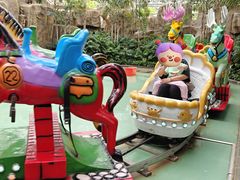 -南宫五洲植物乐园