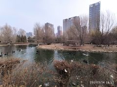 -长白岛森林公园