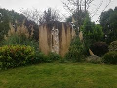 -白鹭湾湿地公园