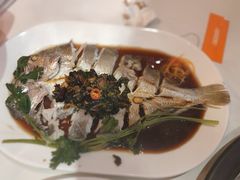 -苏大嘴蒸汽海鲜·海胆蒸饺(中山广场店)