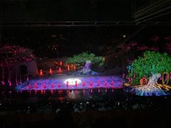 -三亚红色娘子军演艺公园景区