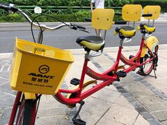 -热高乐园