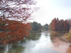 -东平国家森林公园
