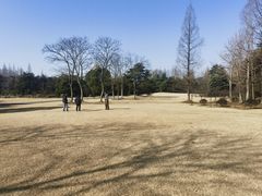 -上海滨江森林公园